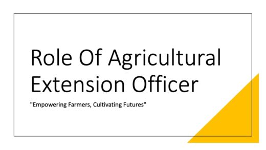 Role Of Agriculture Extension Officer