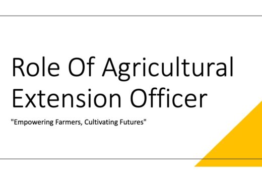 Role Of Agriculture Extension Officer